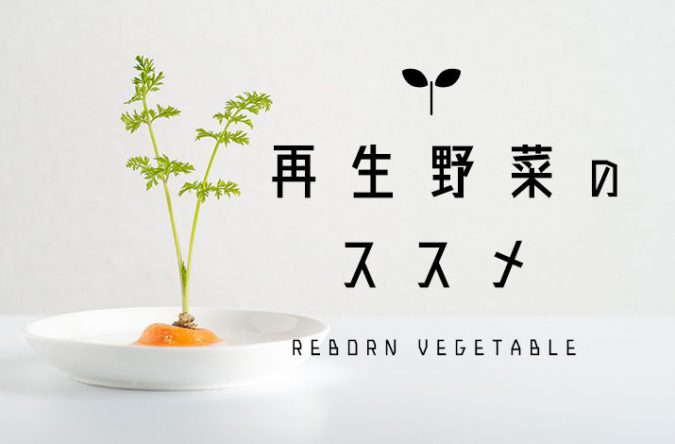 野菜を家庭で簡単に再生！「再生野菜」のススメ