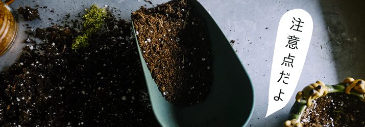 コンポスト利用の際の注意点