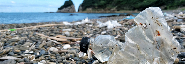 海洋プラスチックゴミ問題