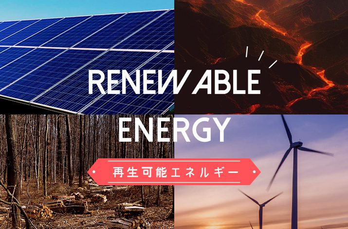 電力会社を選ぶ基準の一つに「再生可能エネルギー」を